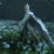 "Eternal Glory - Zhao Yun" icon
